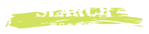 SEARCH 商品をさがす